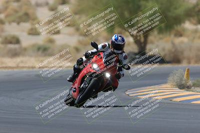 media/May-14-2023-SoCal Trackdays (Sun) [[024eb53b40]]/Turn 5 Tree of Life (1125am)/